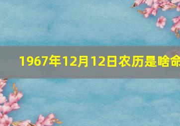 1967年12月12日农历是啥命