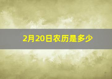 2月20日农历是多少