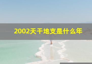 2002天干地支是什么年