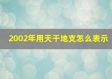 2002年用天干地支怎么表示