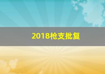 2018枪支批复