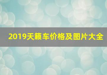 2019天籁车价格及图片大全