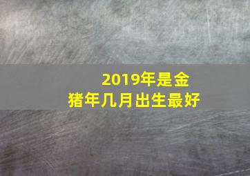 2019年是金猪年几月出生最好