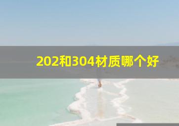 202和304材质哪个好