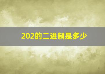 202的二进制是多少