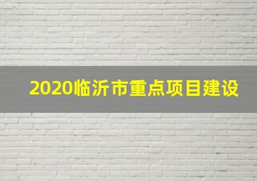 2020临沂市重点项目建设