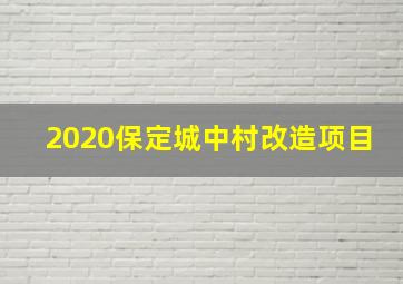 2020保定城中村改造项目