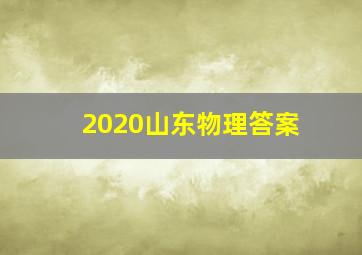 2020山东物理答案