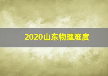 2020山东物理难度