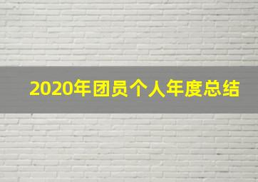 2020年团员个人年度总结