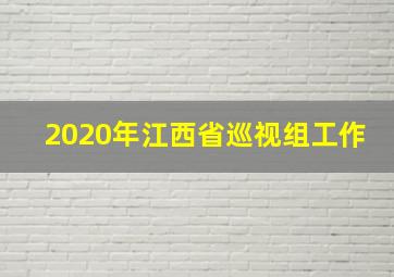 2020年江西省巡视组工作