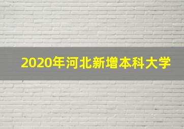 2020年河北新增本科大学