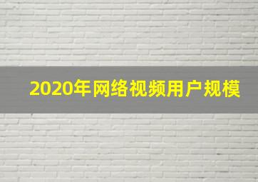 2020年网络视频用户规模