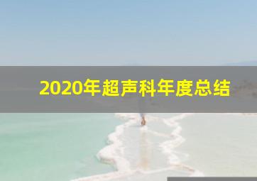 2020年超声科年度总结