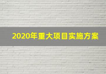 2020年重大项目实施方案