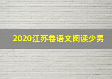 2020江苏卷语文阅读少男