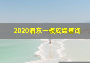 2020浦东一模成绩查询