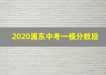 2020浦东中考一模分数段