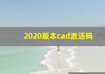 2020版本cad激活码