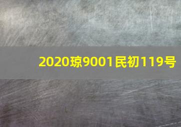 2020琼9001民初119号