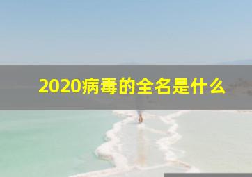 2020病毒的全名是什么