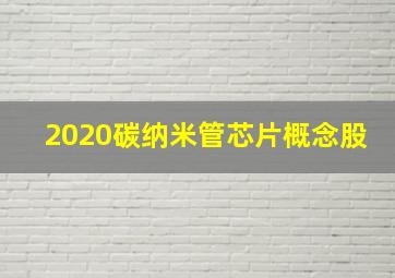 2020碳纳米管芯片概念股