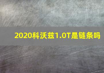 2020科沃兹1.0T是链条吗