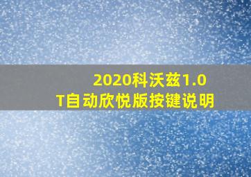 2020科沃兹1.0T自动欣悦版按键说明