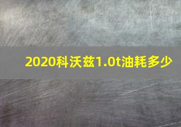 2020科沃兹1.0t油耗多少