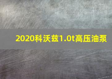 2020科沃兹1.0t高压油泵