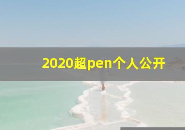 2020超pen个人公开