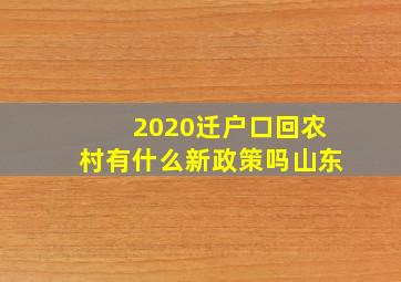 2020迁户口回农村有什么新政策吗山东