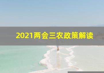 2021两会三农政策解读