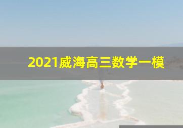 2021威海高三数学一模