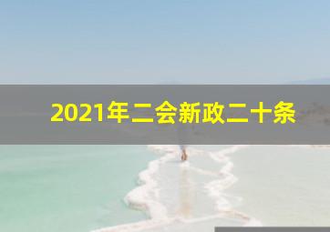 2021年二会新政二十条