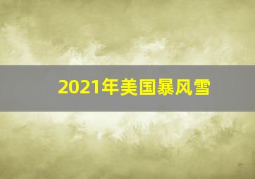 2021年美国暴风雪