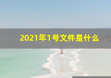 2021年1号文件是什么