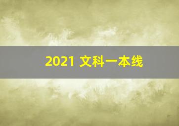 2021 文科一本线