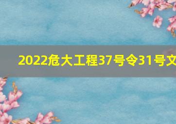 2022危大工程37号令31号文