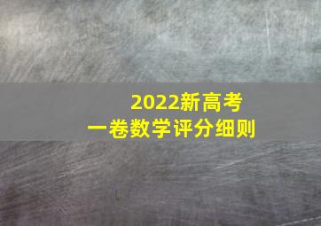 2022新高考一卷数学评分细则