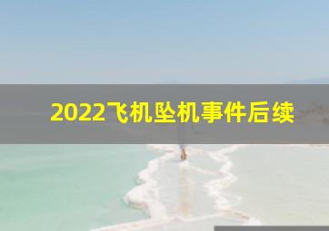 2022飞机坠机事件后续