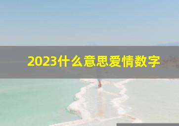 2023什么意思爱情数字