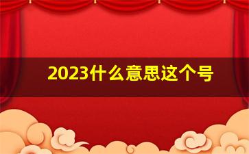 2023什么意思这个号