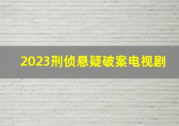 2023刑侦悬疑破案电视剧