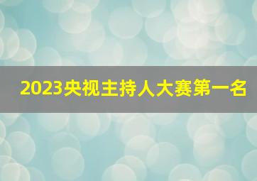 2023央视主持人大赛第一名