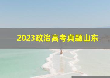 2023政治高考真题山东