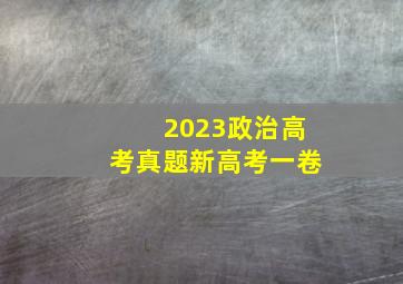 2023政治高考真题新高考一卷