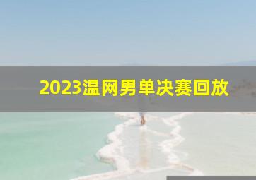 2023温网男单决赛回放