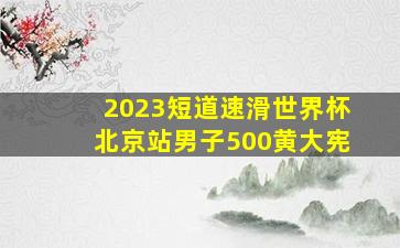 2023短道速滑世界杯北京站男子500黄大宪