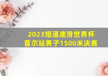 2023短道速滑世界杯首尔站男子1500米决赛